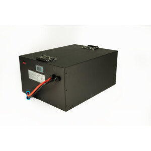 LiFePO4 Akku 48V (51,2V) 100Ah 100A Lithium-Eisen-Phosphat Batterie für Camping Boot Caravan Wohnwagen Elektromobile Golfwagen