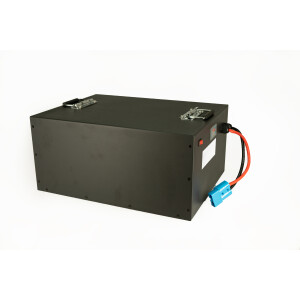 LiFePO4 Akku 48V (51,2V) 100Ah 100A Lithium-Eisen-Phosphat Batterie für Camping Boot Caravan Wohnwagen Elektromobile Golfwagen