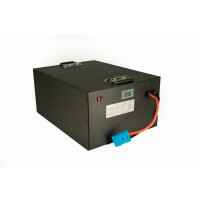 LiFePO4 Akku 48V (51,2V) 100Ah 100A Lithium-Eisen-Phosphat Batterie für Camping Boot Caravan Wohnwagen Elektromobile Golfwagen