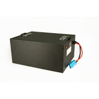 LiFePO4 Akku 48V (51,2V) 100Ah 100A Lithium-Eisen-Phosphat Batterie für Camping Boot Caravan Wohnwagen Elektromobile Golfwagen