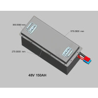 LiFePO4 48V 150Ah Box Lithium-Eisen-Phosphat Batterie für Camping Boot Caravan Wohnwagen Elektromobil