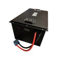 LiFePO4 Akku 48V 150Ah 150A Lithium-Eisenphosphat Batterie für Scooter Camping Boot Caravan Wohnwagen Elektromobil Golfcart