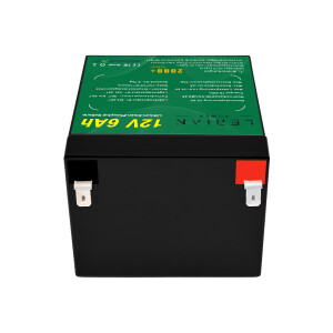LiFePO4 Akku 12V 6Ah 10A Lithium-Eisen-Phosphat Batterie...