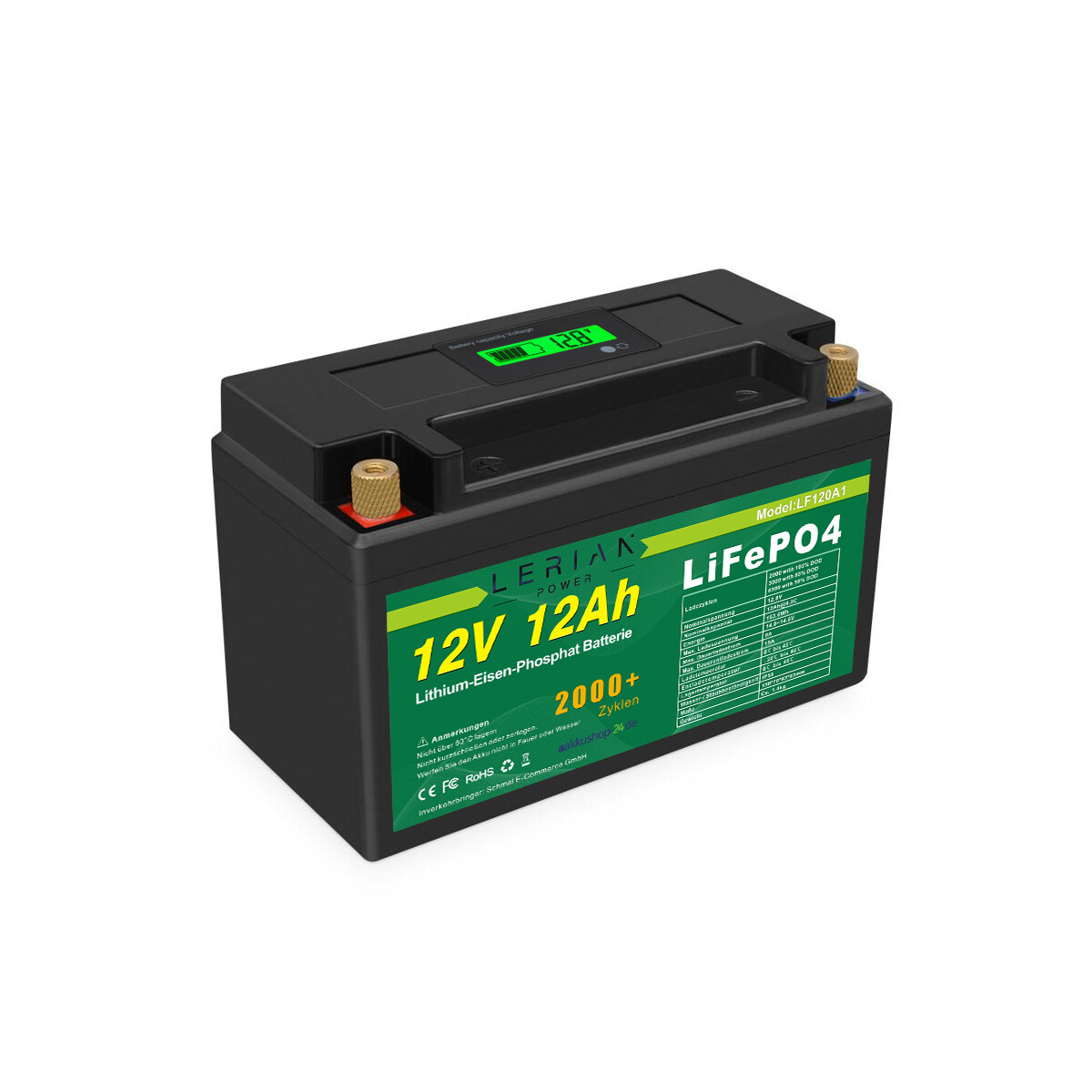 LiFePO4 Akku12V 12Ah Lithium-Eisen-Phosphat Batterie, 179,00 €