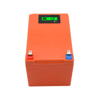 LiFePO4 Akku 12V 12Ah 15A Lithium-Eisen-Phosphat Batterie für Camping Boot Solar Caravan Wohnwagen