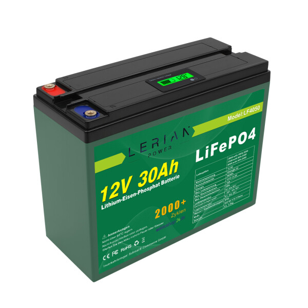 LiFePO4 Akku 12V 30Ah 30A Lithium-Eisen-Phosphat Batterie für Camping Boot Solar Caravan Wohnwagen