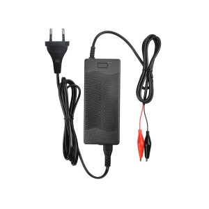 LiFePO4 Akku 12V 30Ah 30A Lithium-Eisen-Phosphat Batterie für Camping Boot Solar Caravan Wohnwagen