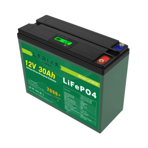 LiFePO4 Akku 12V 30Ah Lithium-Eisen-Phosphat Batterie...