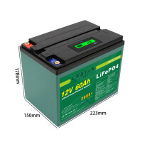 LiFePO4 Akku 12V 60Ah 60A Lithium-Eisen-Phosphat Batterie für Solar  Camping Boot