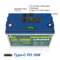 LiFePO4 Akku 12V 100Ah Lithium-Eisen-Phosphat Batterie für Camping Boot Solar