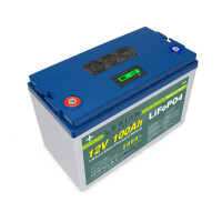 LiFePO4 Akku 12V 100Ah Lithium-Eisen-Phosphat Batterie für Camping Boot Solar