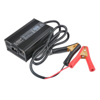 LiFePO4 Akku 12V 150Ah 150A Lithium-Eisen-Phosphat Batterie für Camping Boot Solar