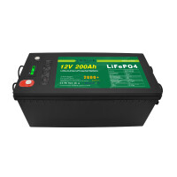 LiFePO4 Akku 12V 200Ah Lithium-Eisen-Phosphat Batterie für Camping Boot Solar 