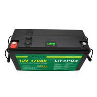 LiFePO4 Akku 12V 170Ah Lithium-Eisen-Phosphat Batterie für Camping Boot Solar