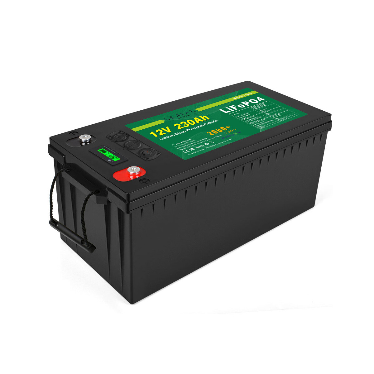 LiFePO4 Akku12V Batterie