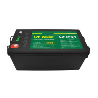 LiFePO4 Akku 12V 230Ah 200A Lithium-Eisen-Phosphat Batterie für Camping Boot Solar
