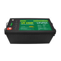 LiFePO4 Akku 12V 230Ah Lithium-Eisen-Phosphat Batterie für Camping Boot Solar