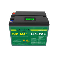 LiFePO4 Akku 24V 30Ah 30A 720Wh Lithium-Eisen-Phosphat Batterie für Camping Solar