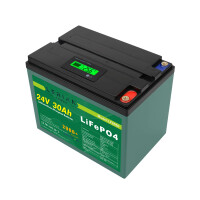 LiFePO4 Akku 24V 30Ah 30A 720Wh Lithium-Eisen-Phosphat Batterie für Camping Solar