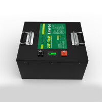 LiFePO4 Akku 24V 170Ah 150A Lithium-Eisen-Phosphat Batterie für Camping Boot Wohnmobil
