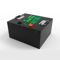 LiFePO4 Akku 24V 170Ah 150A Lithium-Eisen-Phosphat Batterie für Camping Boot Wohnmobil