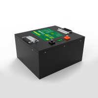 LiFePO4 Akku 24V 170Ah 150A Lithium-Eisen-Phosphat Batterie für Camping Boot Wohnmobil