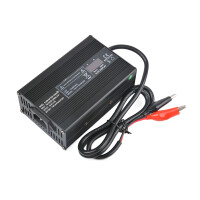 LiFePO4 Akku 24V 170Ah 150A Lithium-Eisen-Phosphat Batterie für Camping Boot Wohnmobil