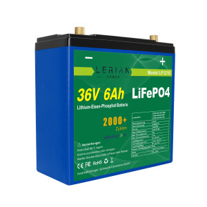 LiFePO4 Akku 36V 6Ah 10A 216Wh Lithium-Eisen-Phosphat...