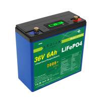 LiFePO4 Akku 36V 6Ah 10A 216Wh Lithium-Eisen-Phosphat Batterie für Camping Boot Wohnmobil