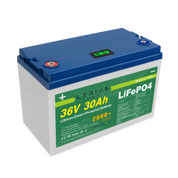 LiFePO4 Akku 36V 30Ah 40A 1080Wh Lithium-Eisen-Phosphat Batterie für Camping Boot Wohnmobil