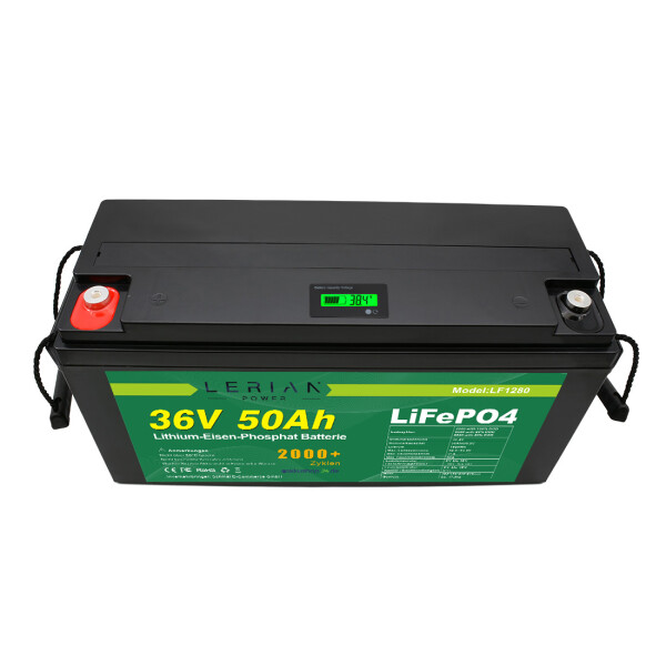 tzipower - 24V 50Ah LiFePO4 Lithium Batterie Akku, BMS, Wohnmobil