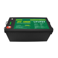 LiFePO4 Akku 36V 100Ah 100A 3600Wh Lithium-Eisen-Phosphat Batterie für Camping Boot Wohnmobil
