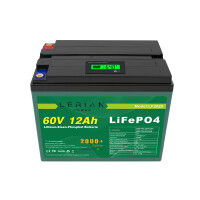 LiFePO4 Akku 60V 12Ah 20A 720Wh Lithium-Eisen-Phosphat Batterie für Camping Boot Wohnmobil