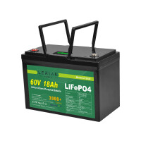LiFePO4 Akku 60V 18Ah 20A 1080Wh Lithium-Eisen-Phosphat Batterie für Camping Boot Wohnmobil