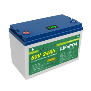 LiFePO4 Akku 60V 24Ah 30A 1440Wh Lithium-Eisen-Phosphat Batterie für Scooter E-Bike Elektrofahrzeug