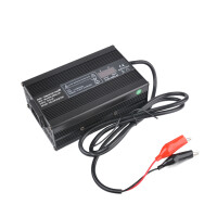 LiFePO4 Akku 60V 24Ah 30A 1440Wh Lithium-Eisen-Phosphat Batterie für Scooter E-Bike Elektrofahrzeug