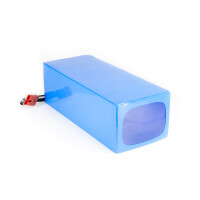 12V Lithium-Ionen Akku / 12V LiFePO4 Akku Varianten für Boot Camping Golf E-Bike Scooter LED