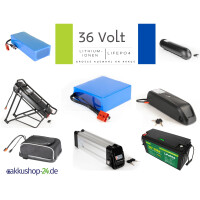 36V Lithium-Ionen Akkupack / LiFePO4 Varianten für Industrie Scooter Boot E-Bike Camping Golf