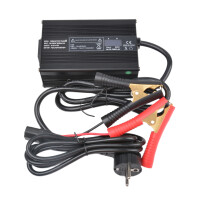 12V Lithium-Ionen Akku / 12V LiFePO4 Akku Varianten für Boot Camping Golf E-Bike Scooter LED 12V 400Ah 200A LiFePO4