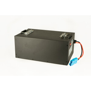 48V 60Ah 100A LiFePO4