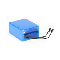 24V Lithium-Ionen Akkupack / LiFePO4 Varianten für Industrie Scooter Boot E-Bike Camping Golf 24V 15Ah 20A Li-Ion