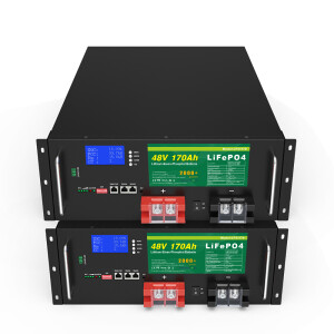 LiFePO4 Akku 48V 170Ah 150A 8160Wh Lithium-Eisen-Phosphat Batterie Solarspeicher PV 0% MwSt.