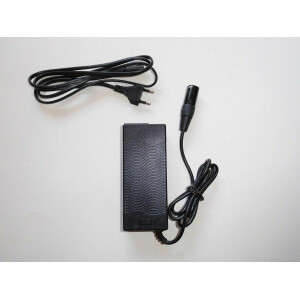 E-Bike Akku 24V 22,5Ah 540Wh Lithium-Ionen Hailong Rahmenakku incl. BMS & Ladegerät