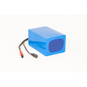 LiFePO4 Akku 24V 6Ah 20A Lithium-Eisen-Phosphat Batterie...