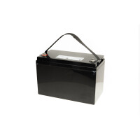 LiFePO4 Akku 12V 100Ah 100A Lithium-Eisen-Phosphat Batterie für Camping Boot Solar Caravan Wohnwagen