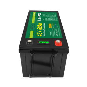 LiFePO4 Akku 48V (51,2V) 60Ah 50A Lithium-Eisen-Phosphat Batterie für Camping Boot Caravan Wohnwagen Elektromobile Golfwagen