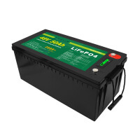 LiFePO4 Akku 48V (51,2V) 50Ah 50A Lithium-Eisen-Phosphat Batterie für Camping Boot Caravan Wohnwagen Elektromobile Golfwagen