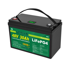 LiFePO4 Akku 48V (51,2V) 30Ah 30A Lithium-Eisen-Phosphat Batterie für Camping Boot Caravan Wohnwagen Elektromobile Golfwagen
