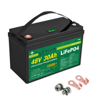 LiFePO4 Akku 48V (51,2V) 30Ah 30A Lithium-Eisen-Phosphat Batterie für Camping Boot Caravan Wohnwagen Elektromobile Golfwagen