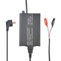LiFePO4 Akku 48V (51,2V) 30Ah 30A Lithium-Eisen-Phosphat Batterie für Camping Boot Caravan Wohnwagen Elektromobile Golfwagen